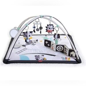 Tiny Love Activity Mat